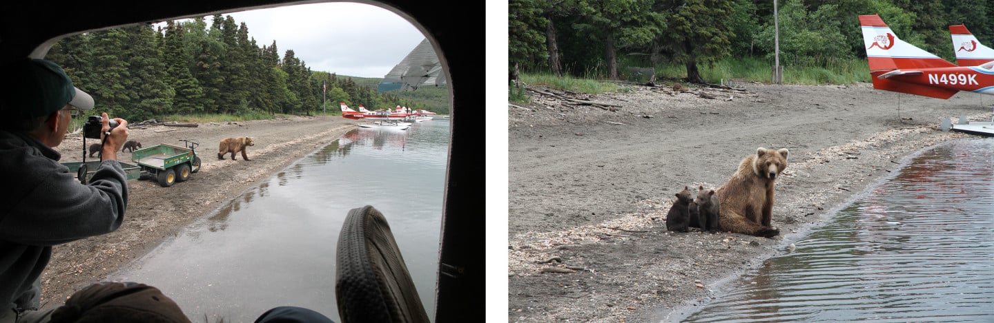 View from the landing beach at Brooks Falls, Alaska