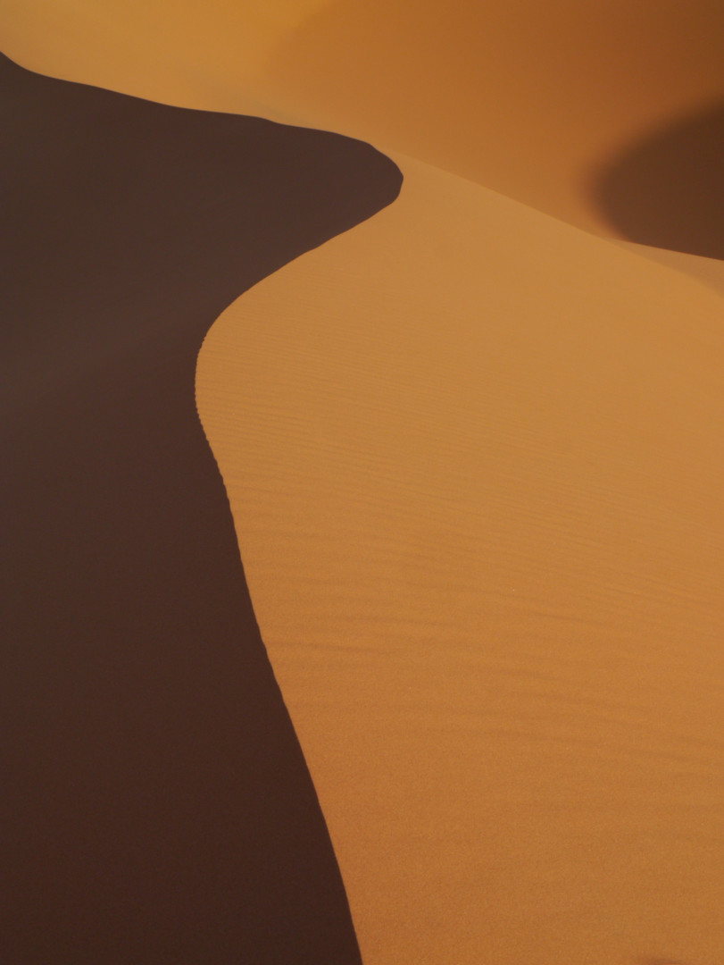 Sahara morning, Morocco