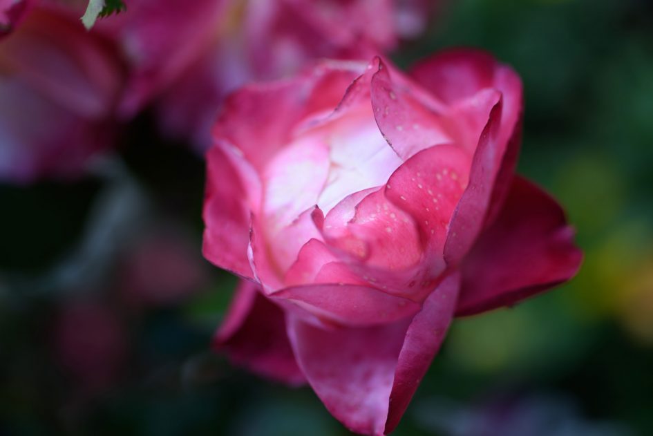 tamron_45f1-8vc_f1-8_84789_3k