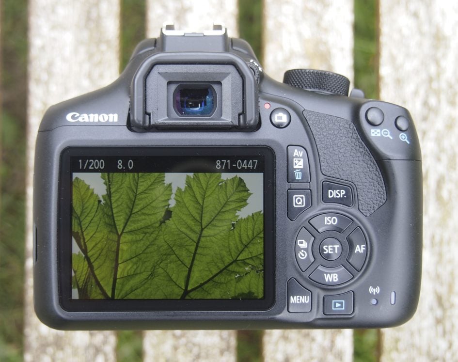 canon_1300d_back_3621px