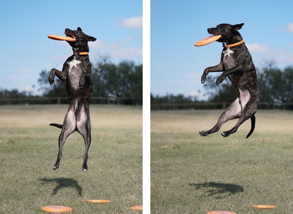 sonya6500_frisbee_1890