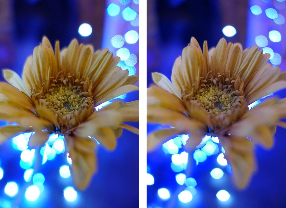 sonyrx100v_vs_lx15_macro_matched_1890