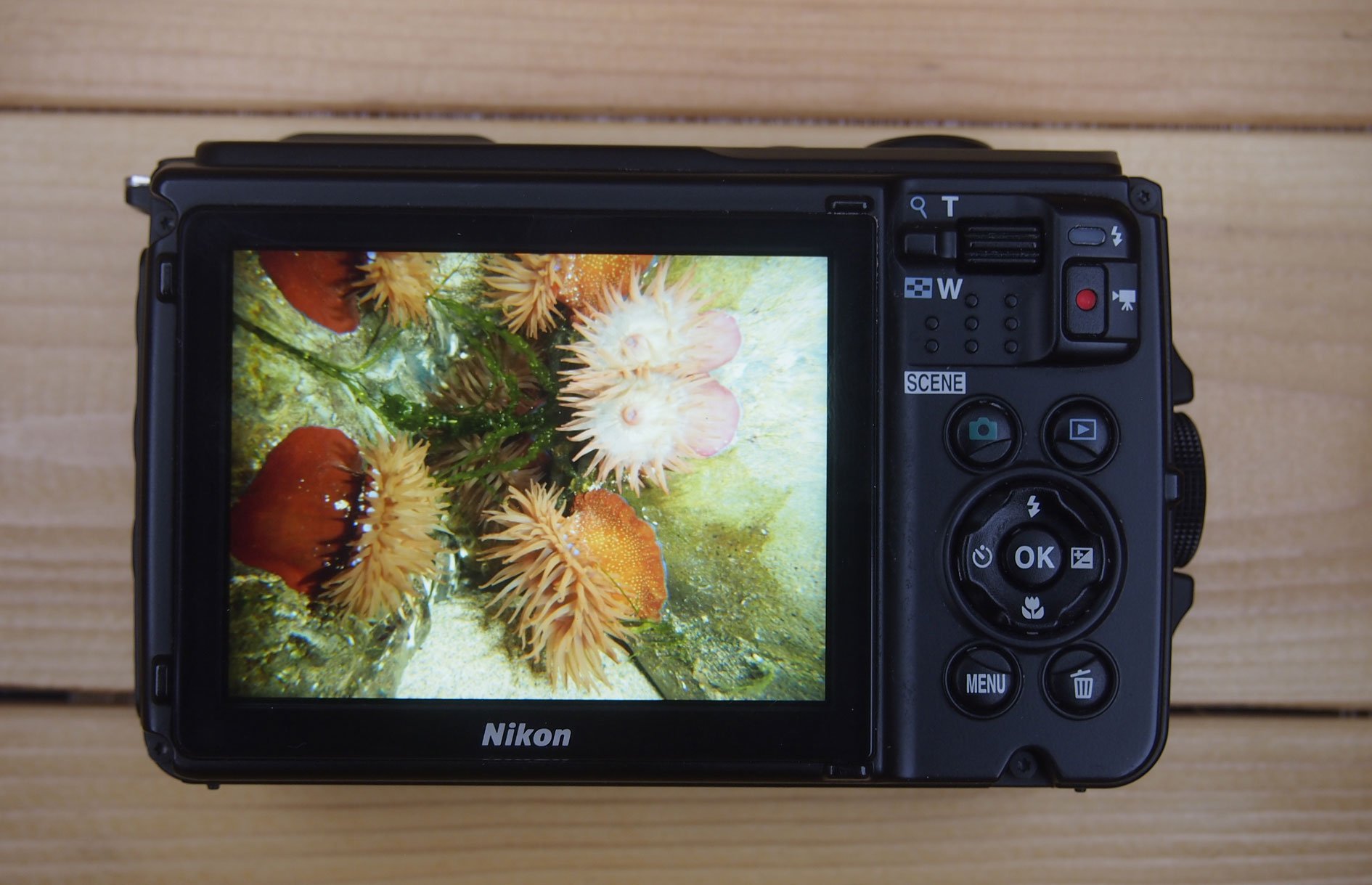Nikon Coolpix W300 review | Cameralabs