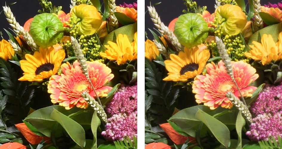 nikon-d850-jpeg-vs-raw-noise-64iso