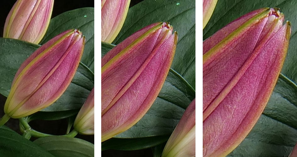 panasonic-lumix-g9-highres3-crops1
