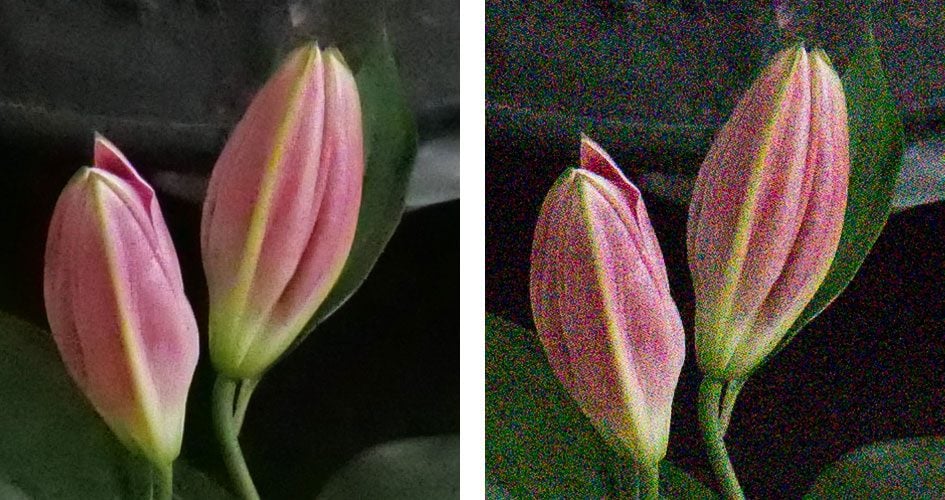 panasonic-lumix-g9-noise-12800iso