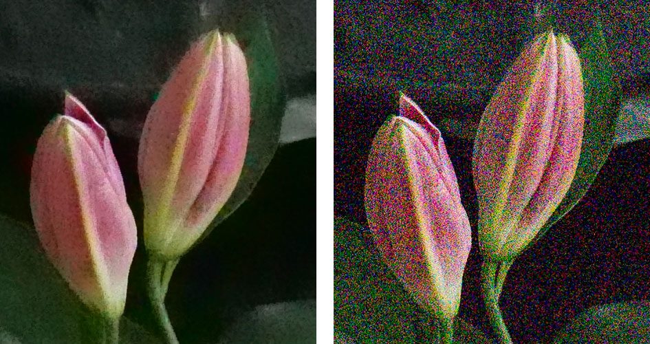 panasonic-lumix-g9-noise-25600iso