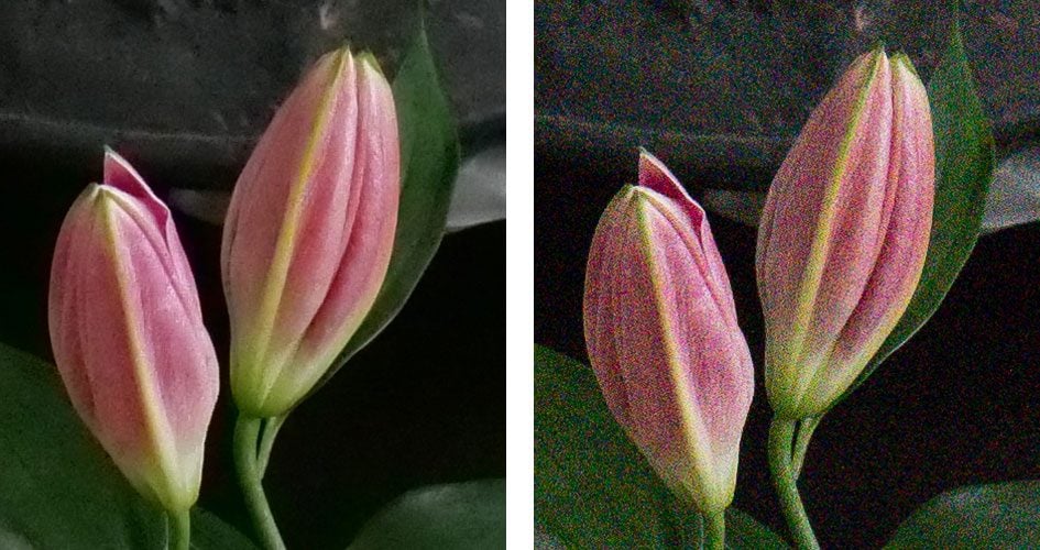 panasonic-lumix-g9-noise-6400iso