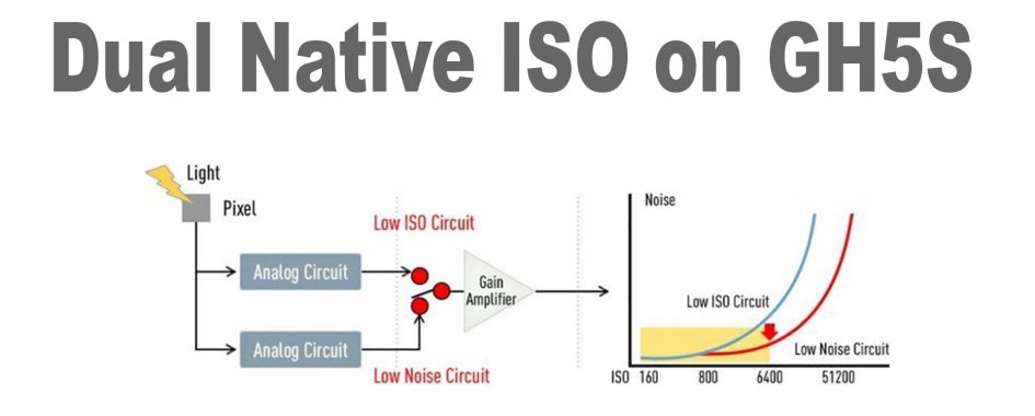 panasonic-lumix-gh5s-diagram-dual-native-iso