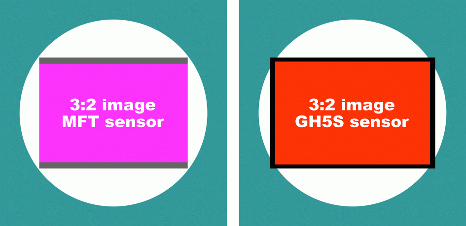 panasonic-lumix-gh5s-diagram-sensor-3-2