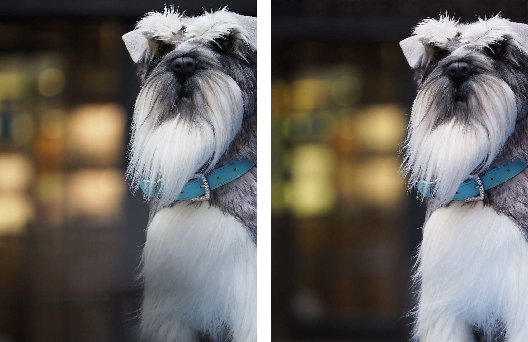 Leica 50200mm f2.84 review Cameralabs