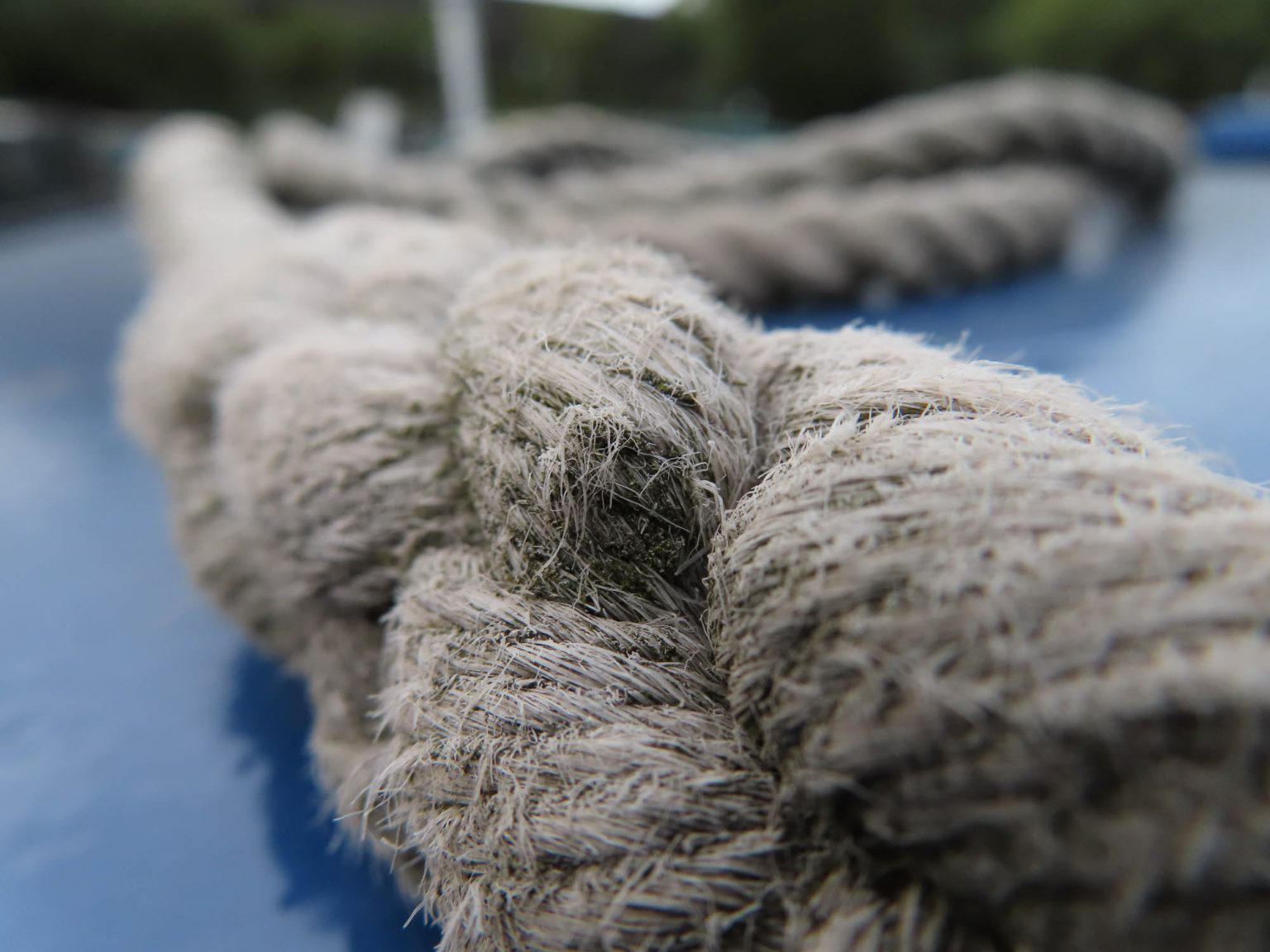 Canon SX740 HS review | Cameralabs