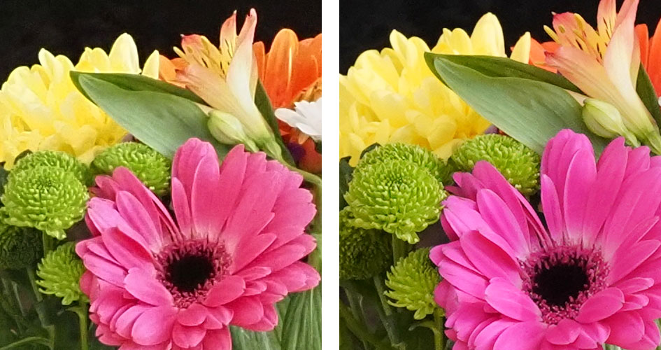 olympus-em1x-vs-sony-a9-noise-jpeg-3200iso