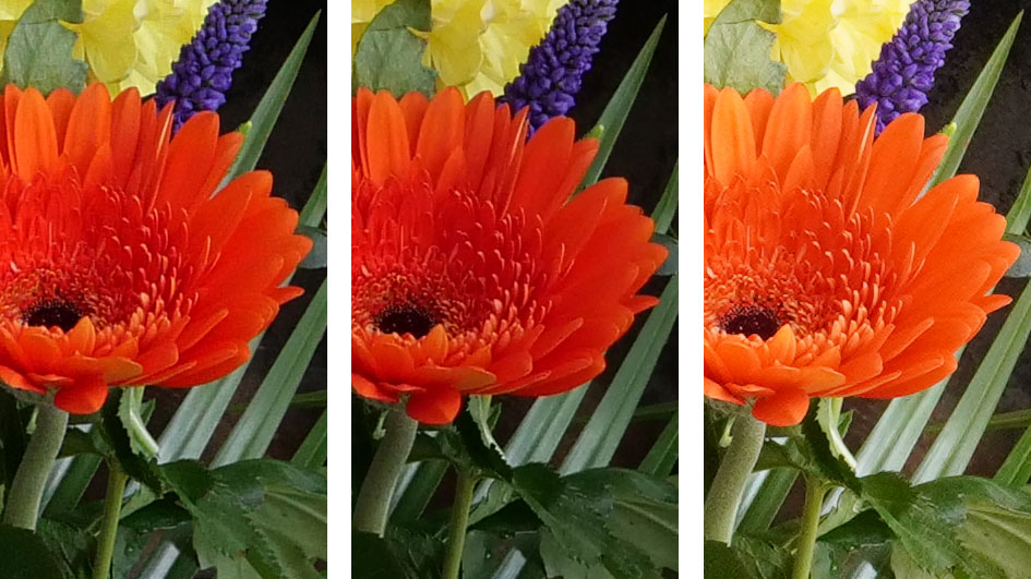 panasonic-lumix-g90-vs-g9-vs-a6400-noise-jpeg-800iso