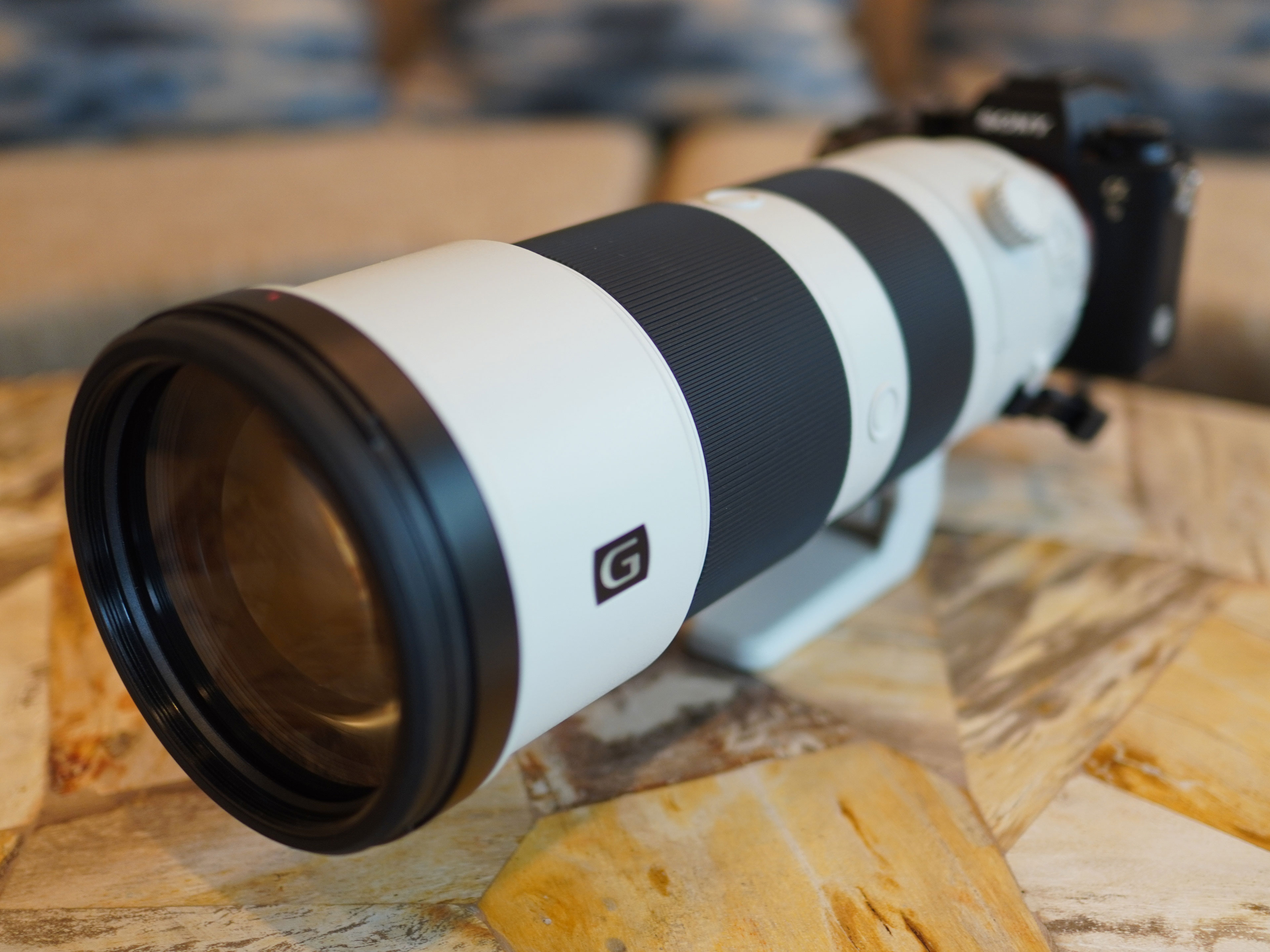 Sony FE 200-600mm F5.6-6.3 G OSS Lens Review