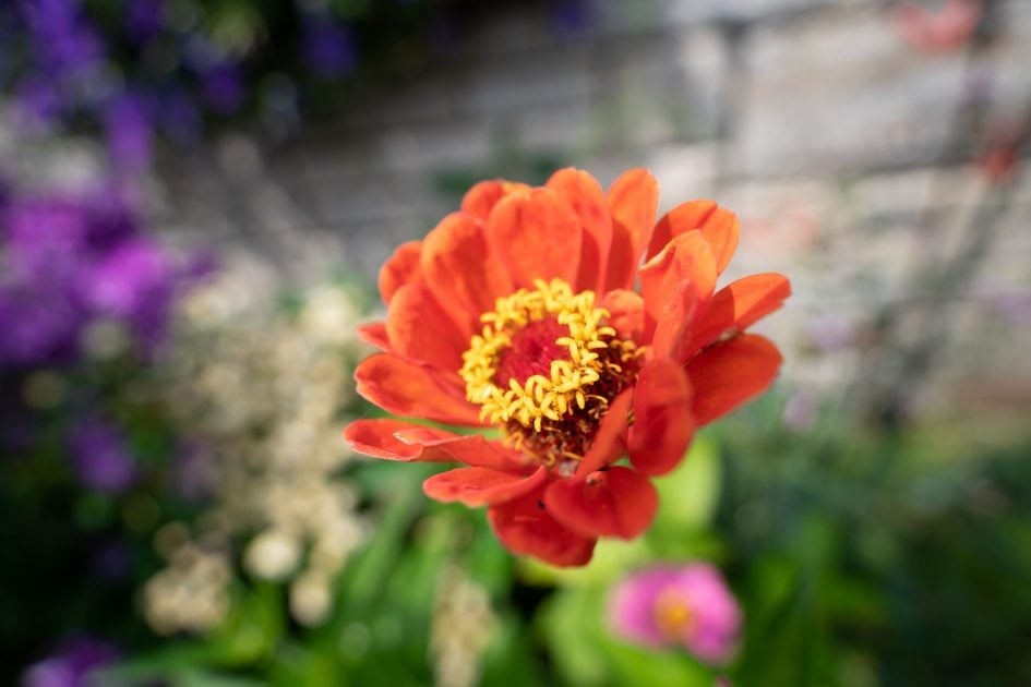 Tamron17-28f2-8_17f2-8_04258