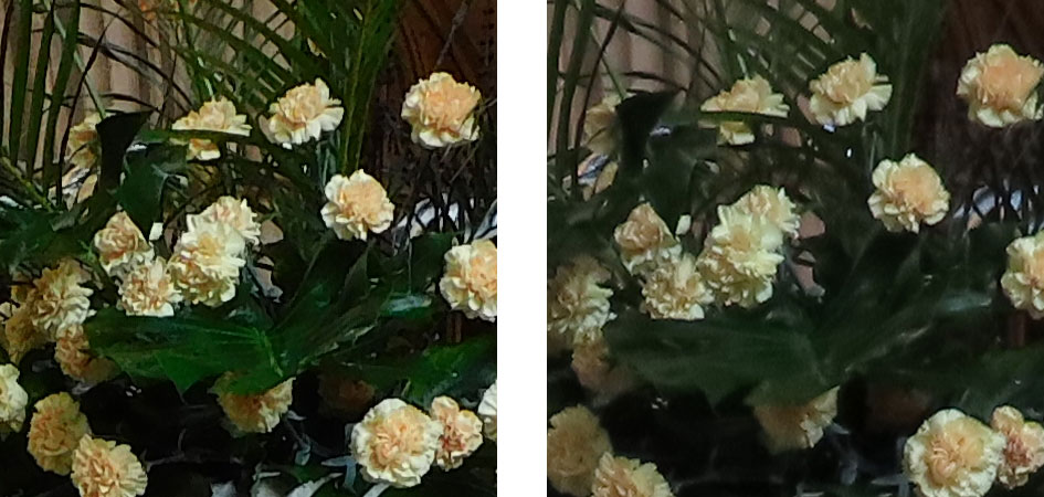 coolpix_b600_vs_powershot_sx70hs_200_iso