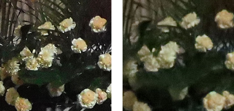 coolpix_b600_vs_powershot_sx70hs_3200_iso