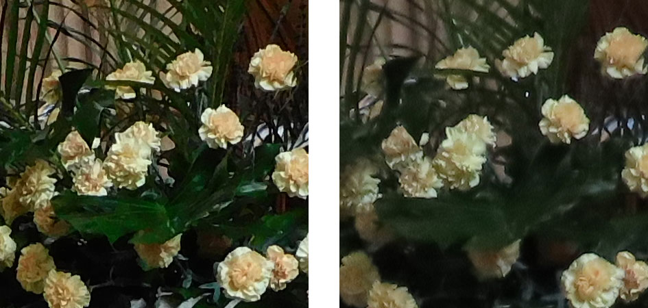 coolpix_b600_vs_powershot_sx70hs_400_iso