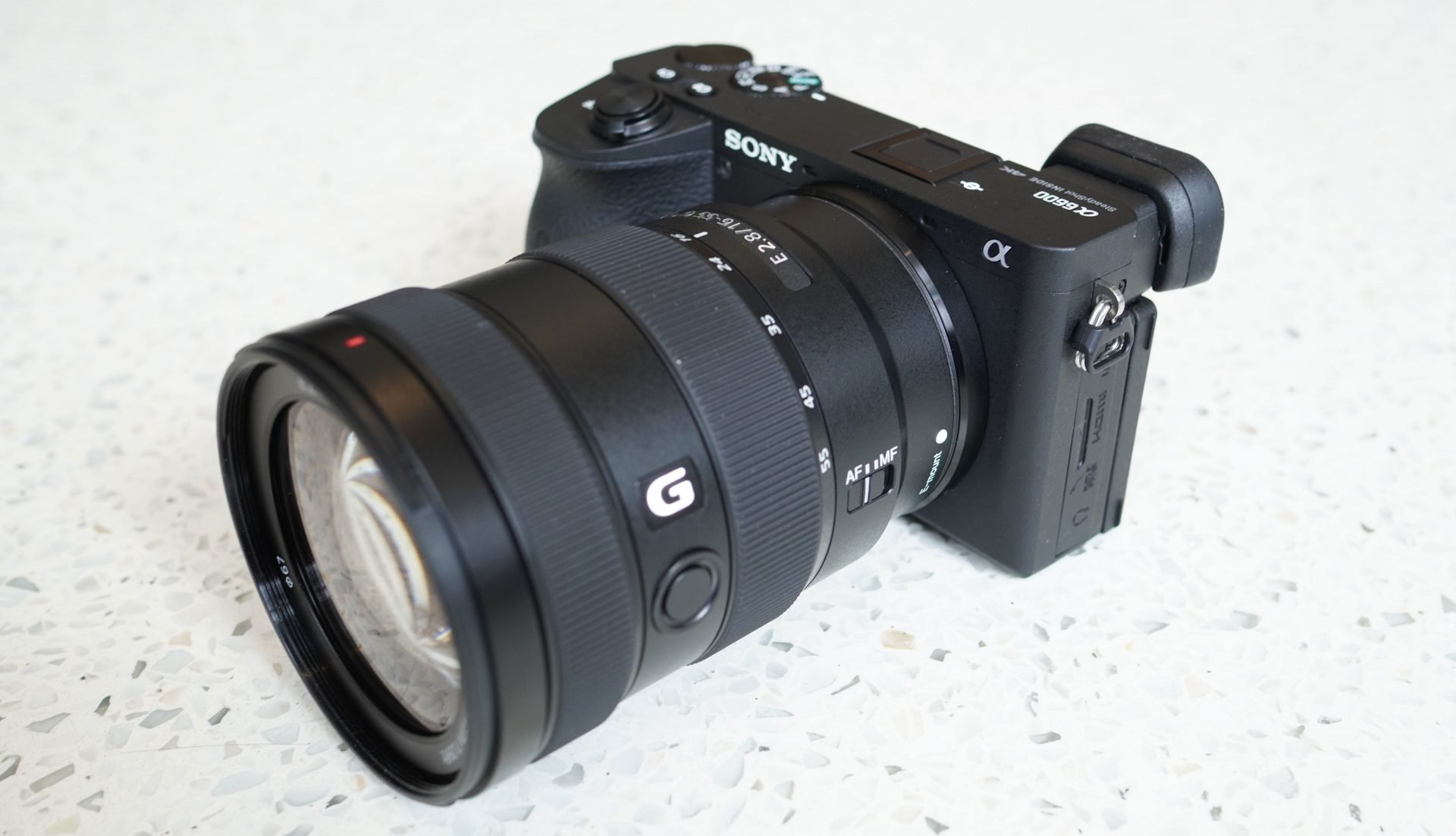 Sony A6600 review