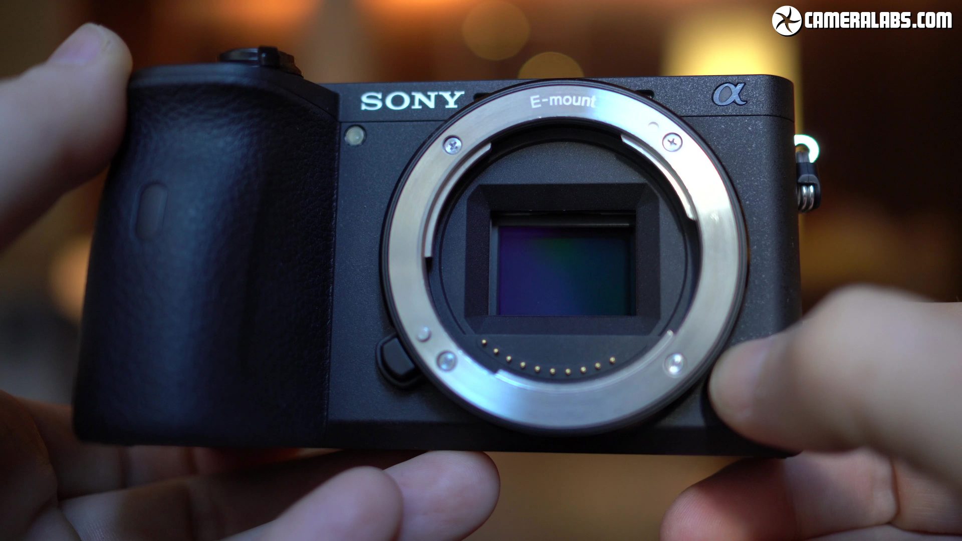 Sony A6600 review | Cameralabs