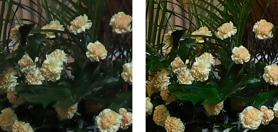 powershot_sx70hs_vs_coolpix_b600_100_iso