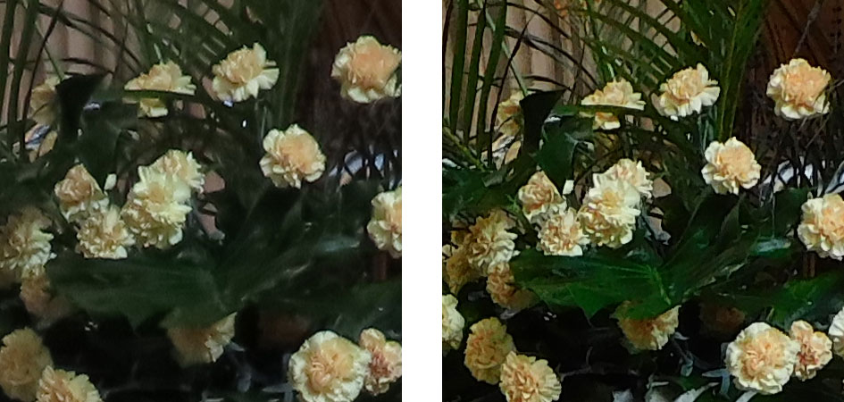 powershot_sx70hs_vs_coolpix_b600_200_iso