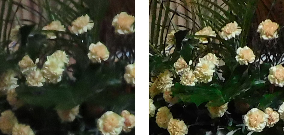 powershot_sx70hs_vs_coolpix_b600_800_iso