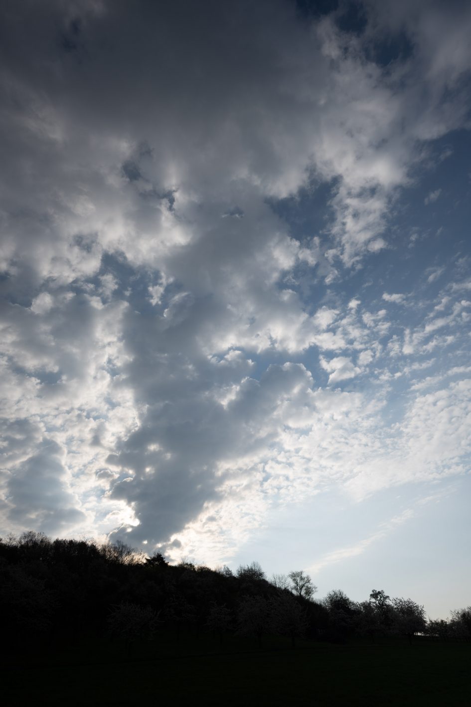NikonZ20f1-8S_f1-8_70205