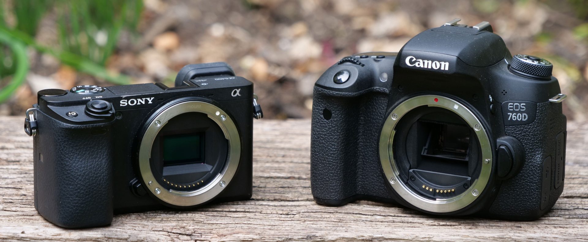 mirrorless-vs-dslr-header-1