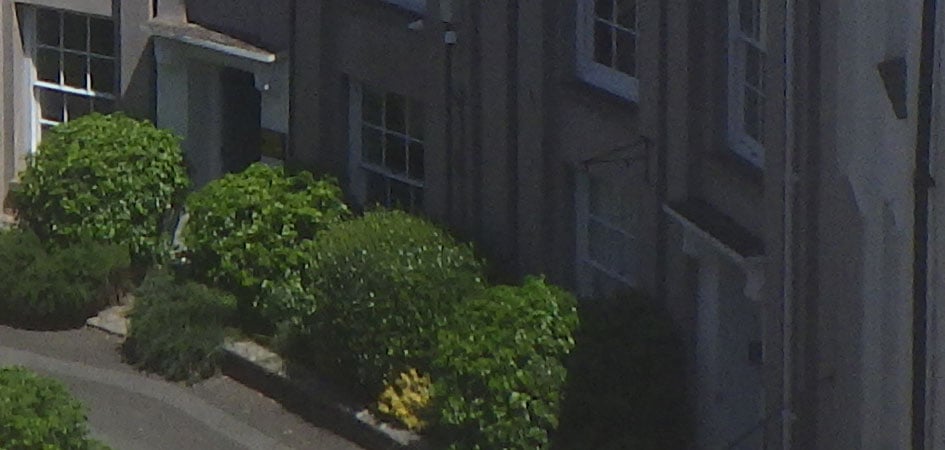 Ricoh-WG-70-quality-crop-03