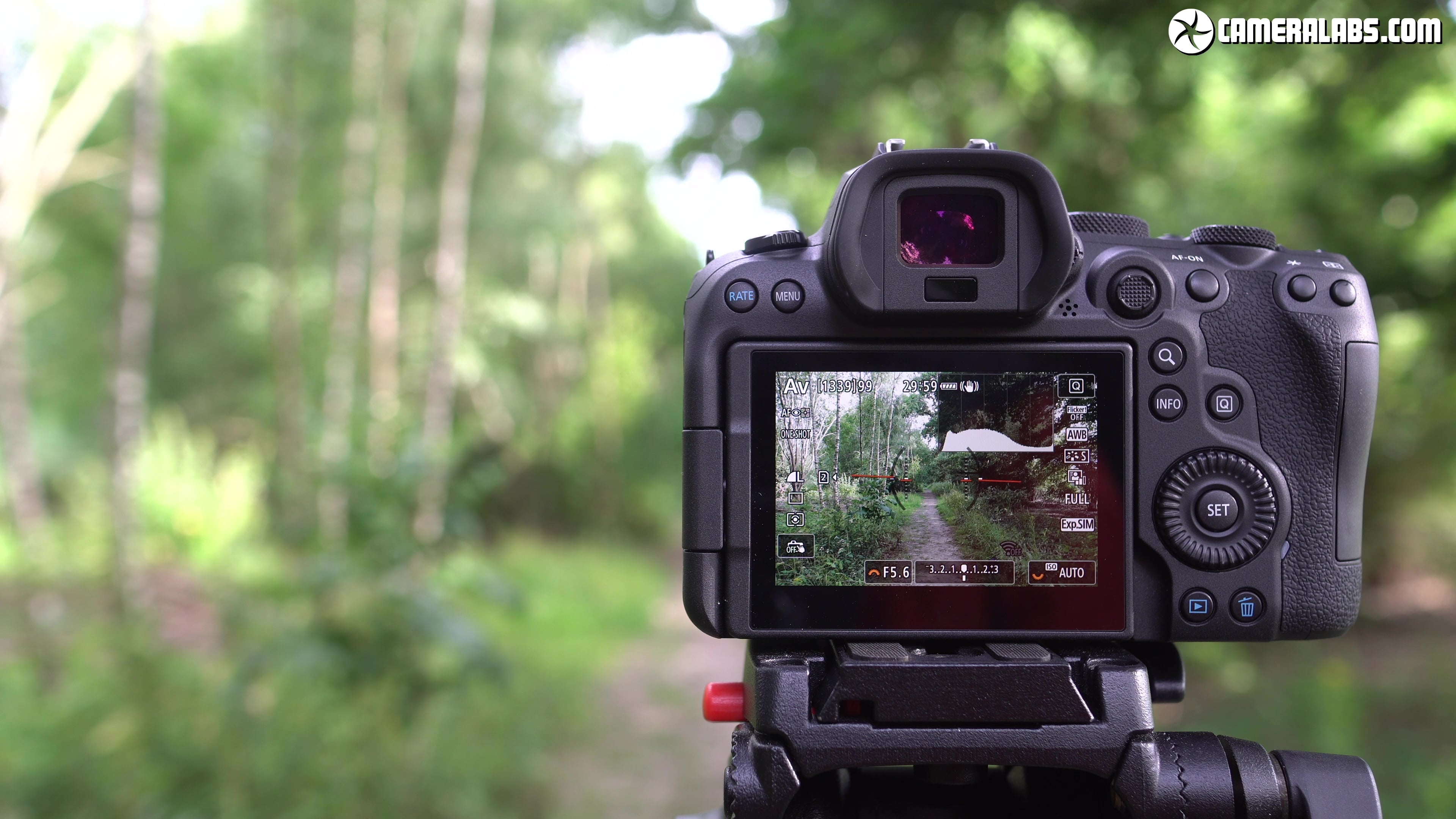 Canon EOS R6 review | Cameralabs