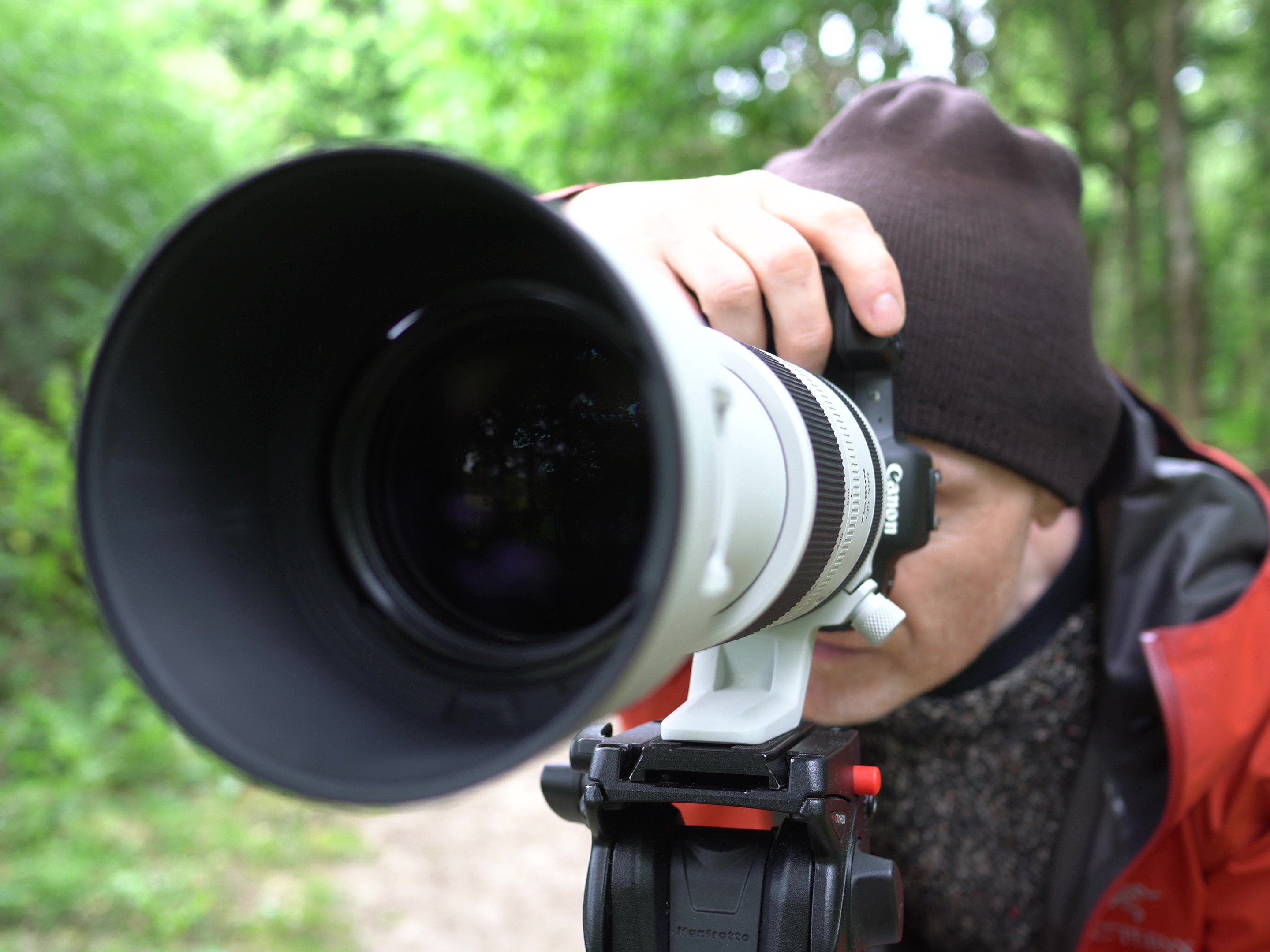 Canon RF 100-500mm f4.5-7.1L review Cameralabs