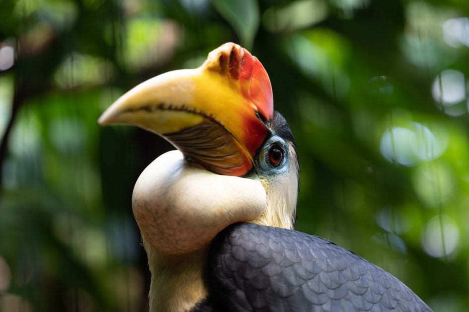 NikonZ70-200f2-8VRS_TC14_200f4_74206