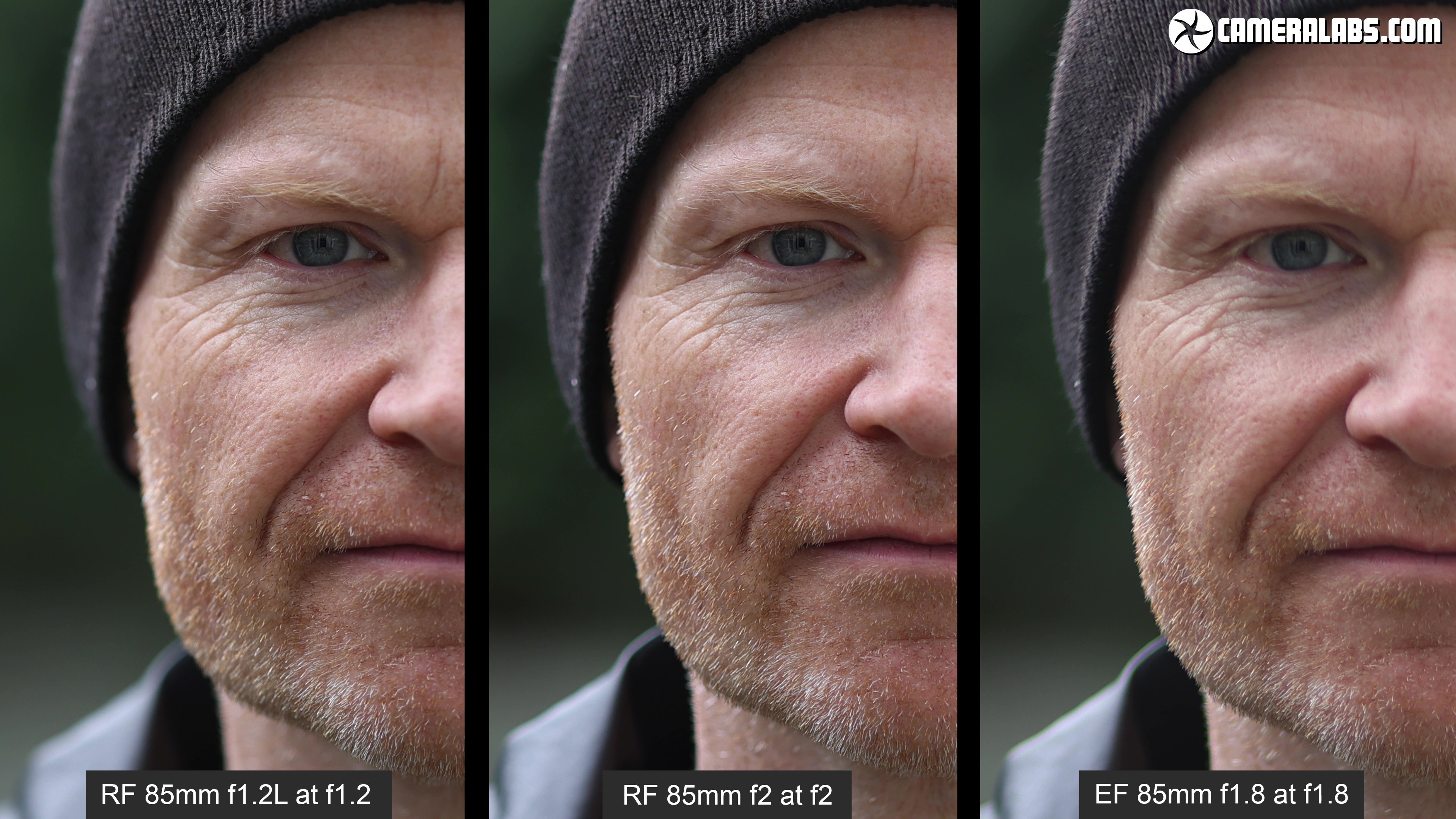 Canon RF 85mm f2 Macro review | Cameralabs
