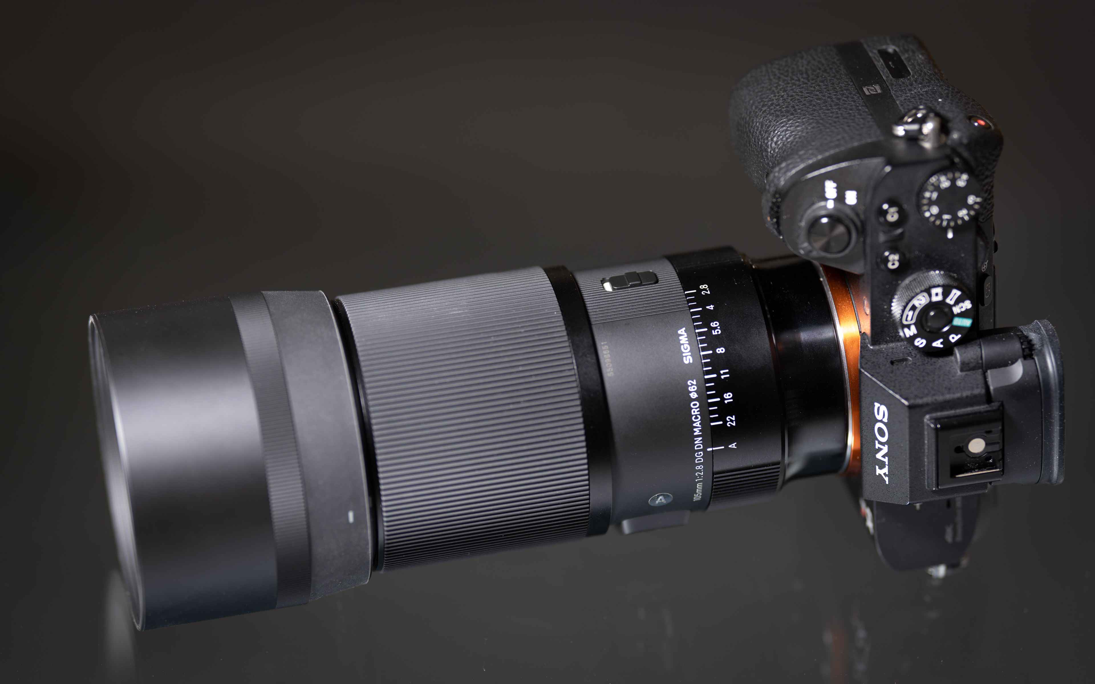 Sigma 105mm f2.8 DG DN Macro Art review | Cameralabs