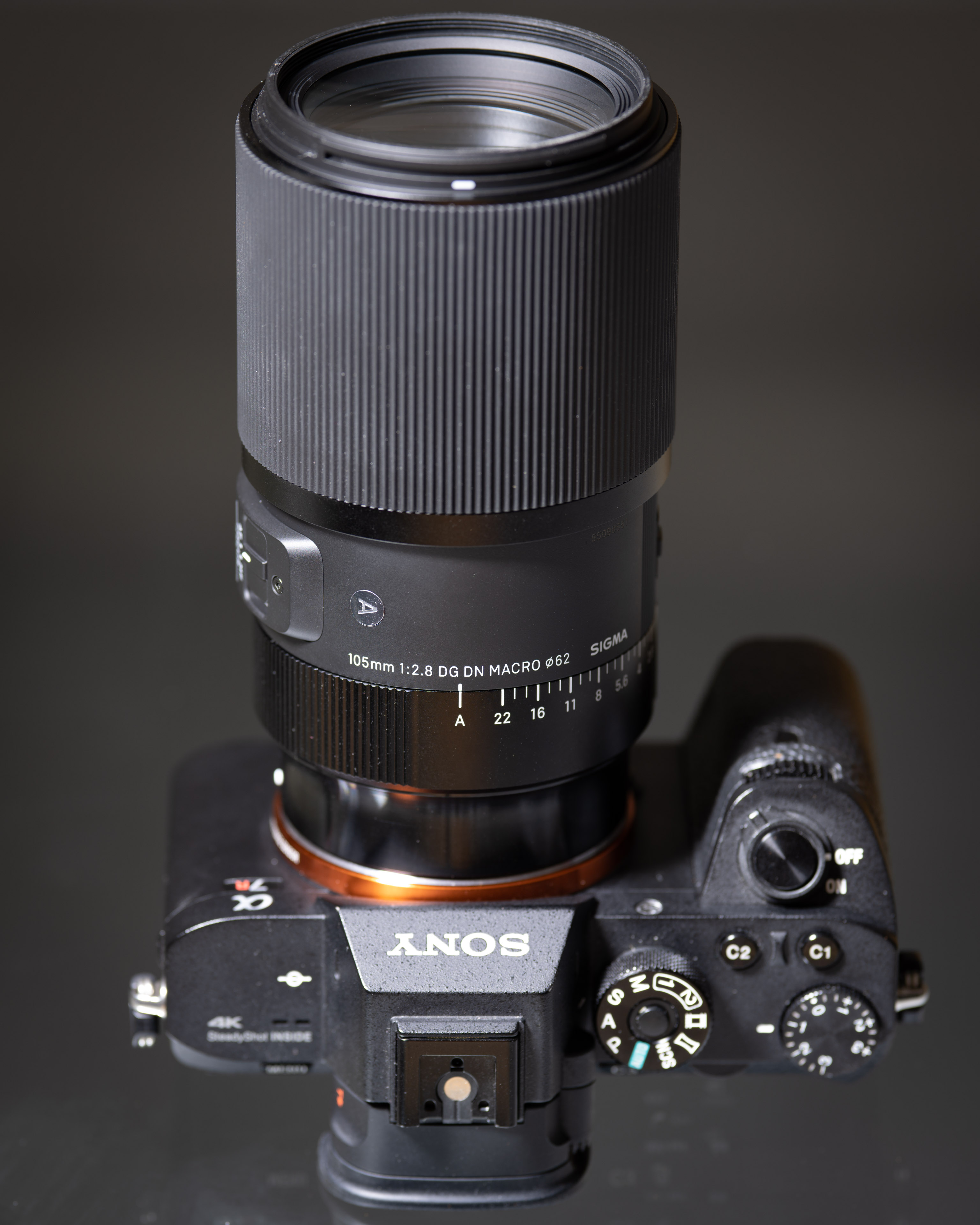 Sigma 105mm f2.8 DG DN Macro Art review | Cameralabs