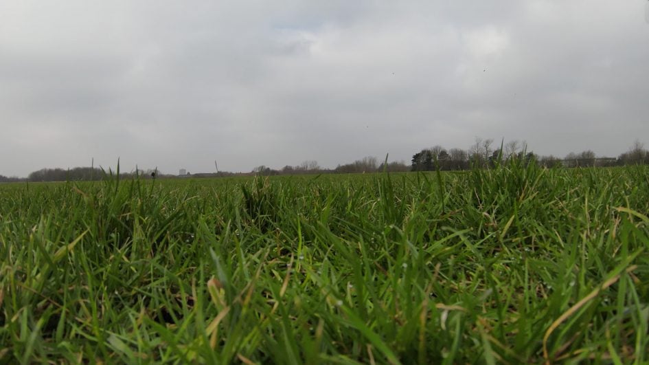 Grass-Ground-FPV