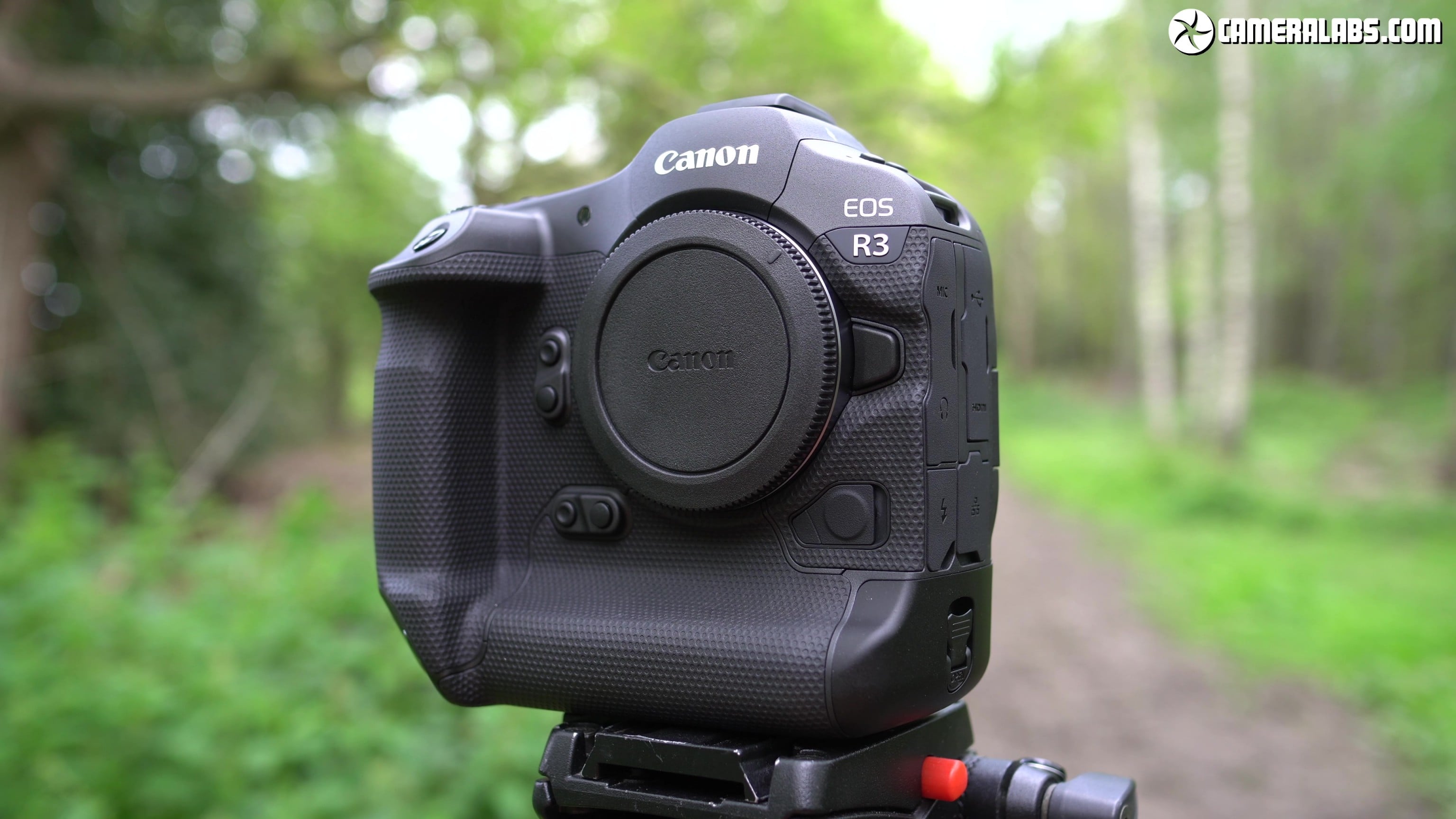 Canon EOS R3 review so far Cameralabs
