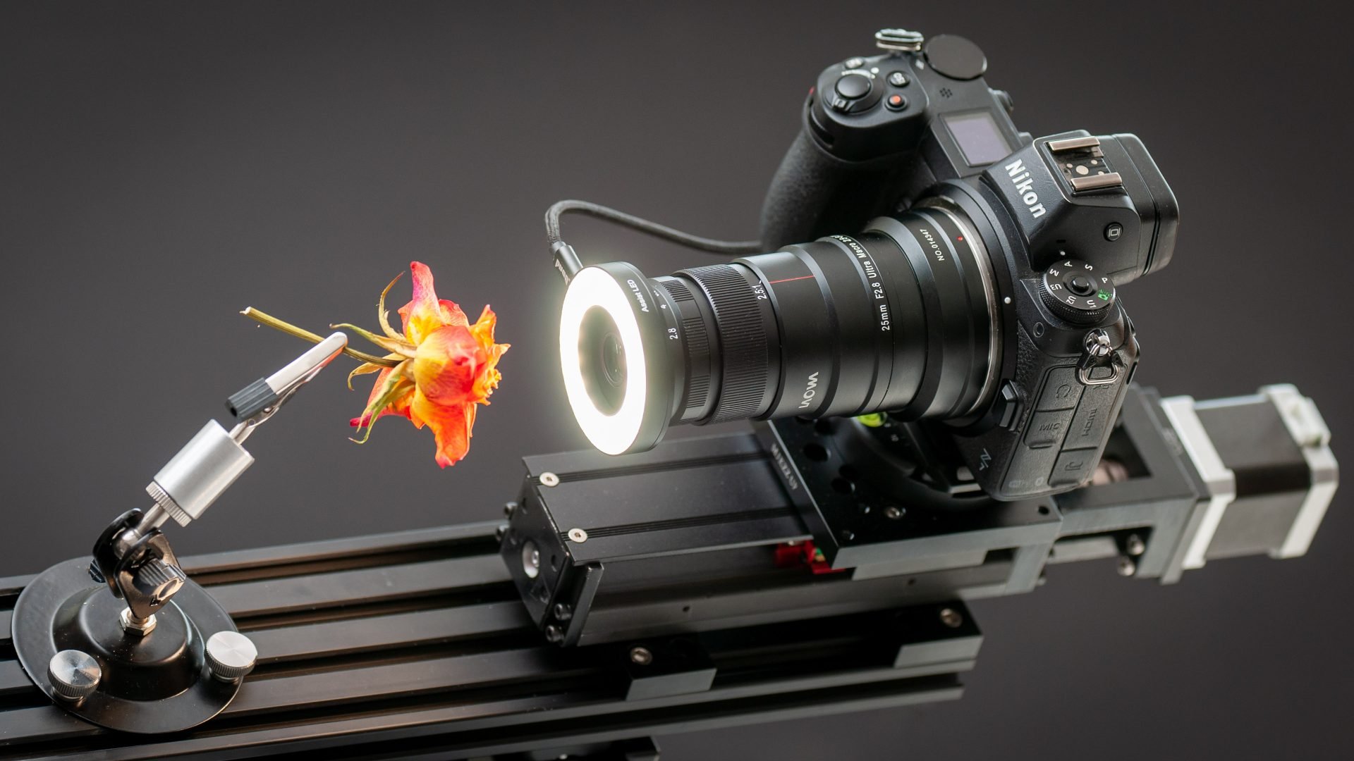 Laowa 25mm F2 8 2 5 5x Ultra Macro Review Cameralabs laowa-25mm-f2-8-2-5-5x-ultra-macro-review-cameralabs