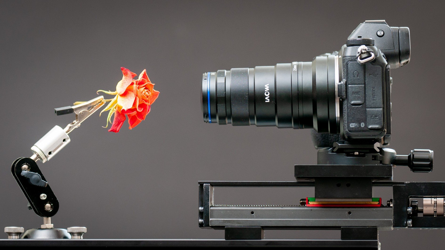 Laowa 25mm f2.8 2.55x Ultra Macro review Cameralabs