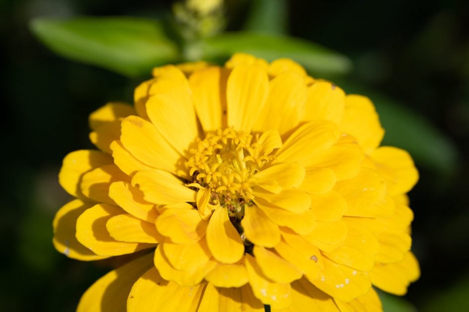 Tamron150-500VC_228f5_102823