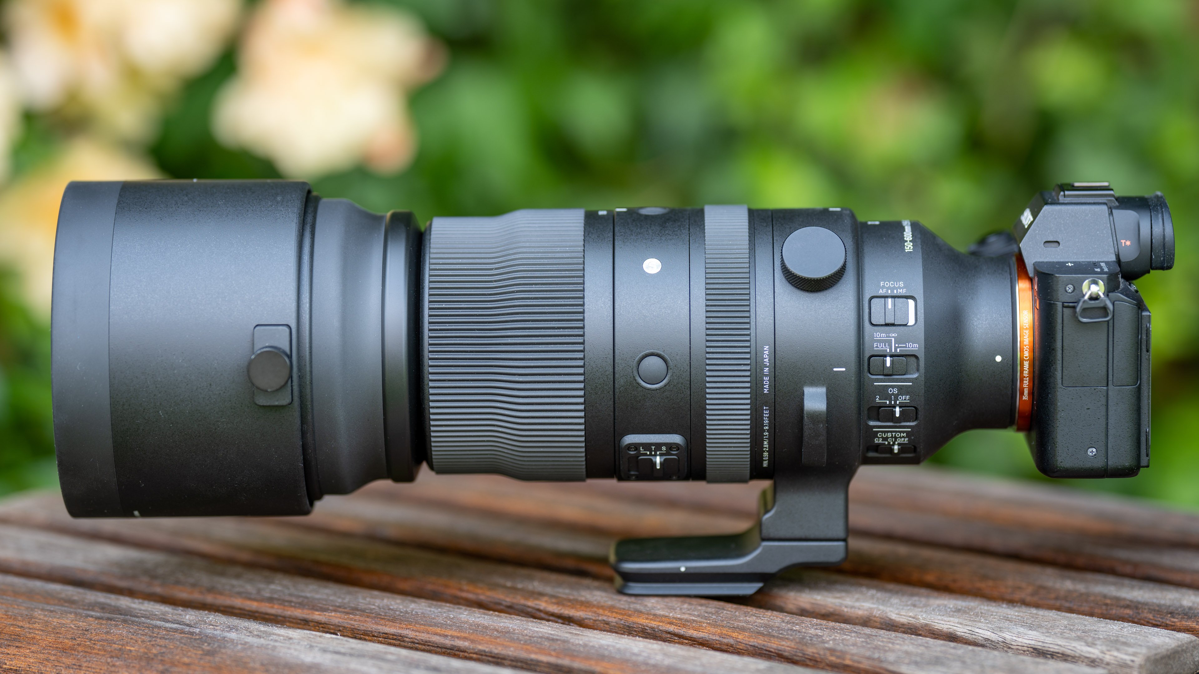 Sigma 150-600mm f5-6.3 DG DN OS review | Cameralabs