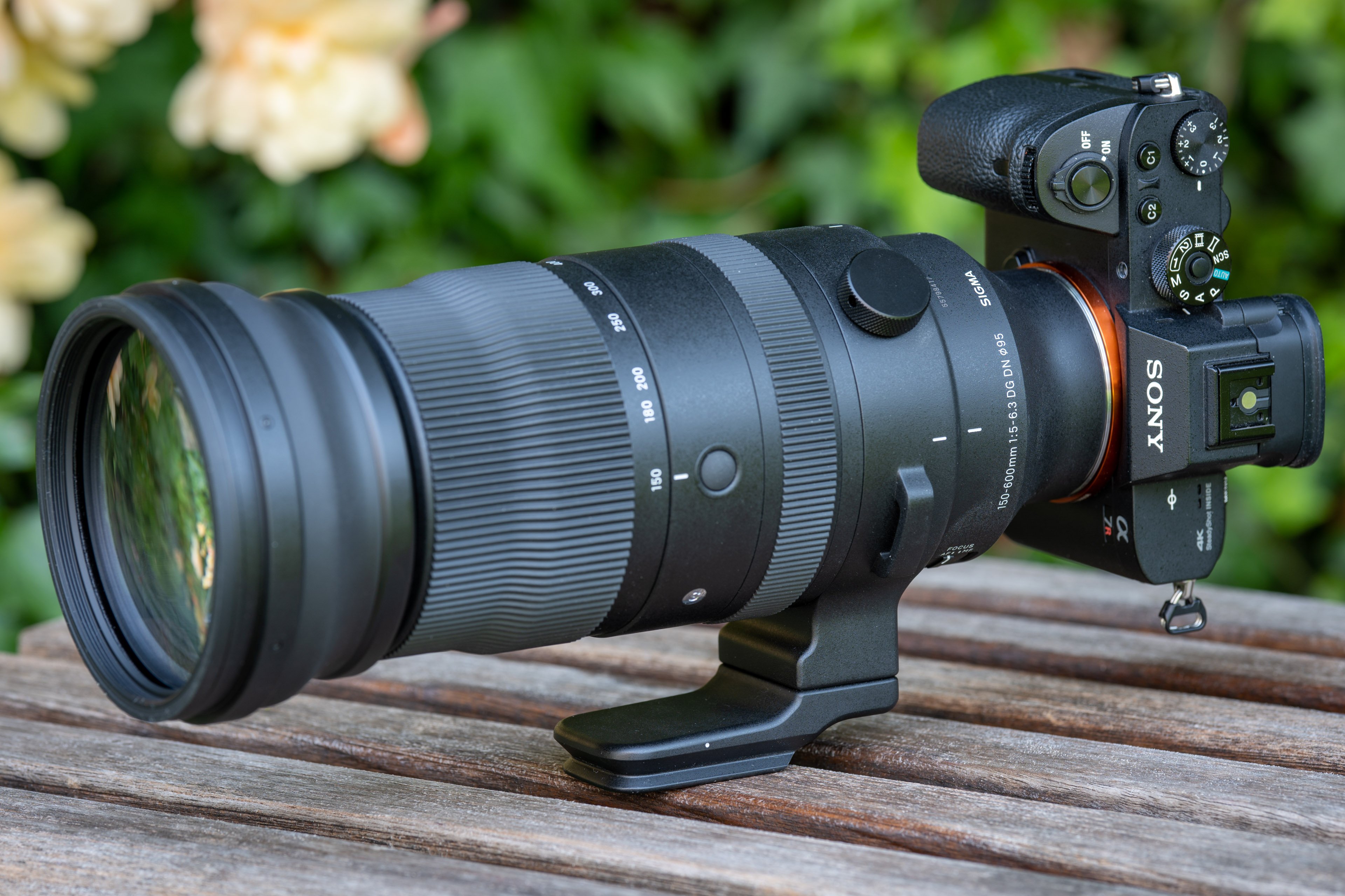 Sigma 150-600mm f5-6.3 DG DN OS review | Cameralabs