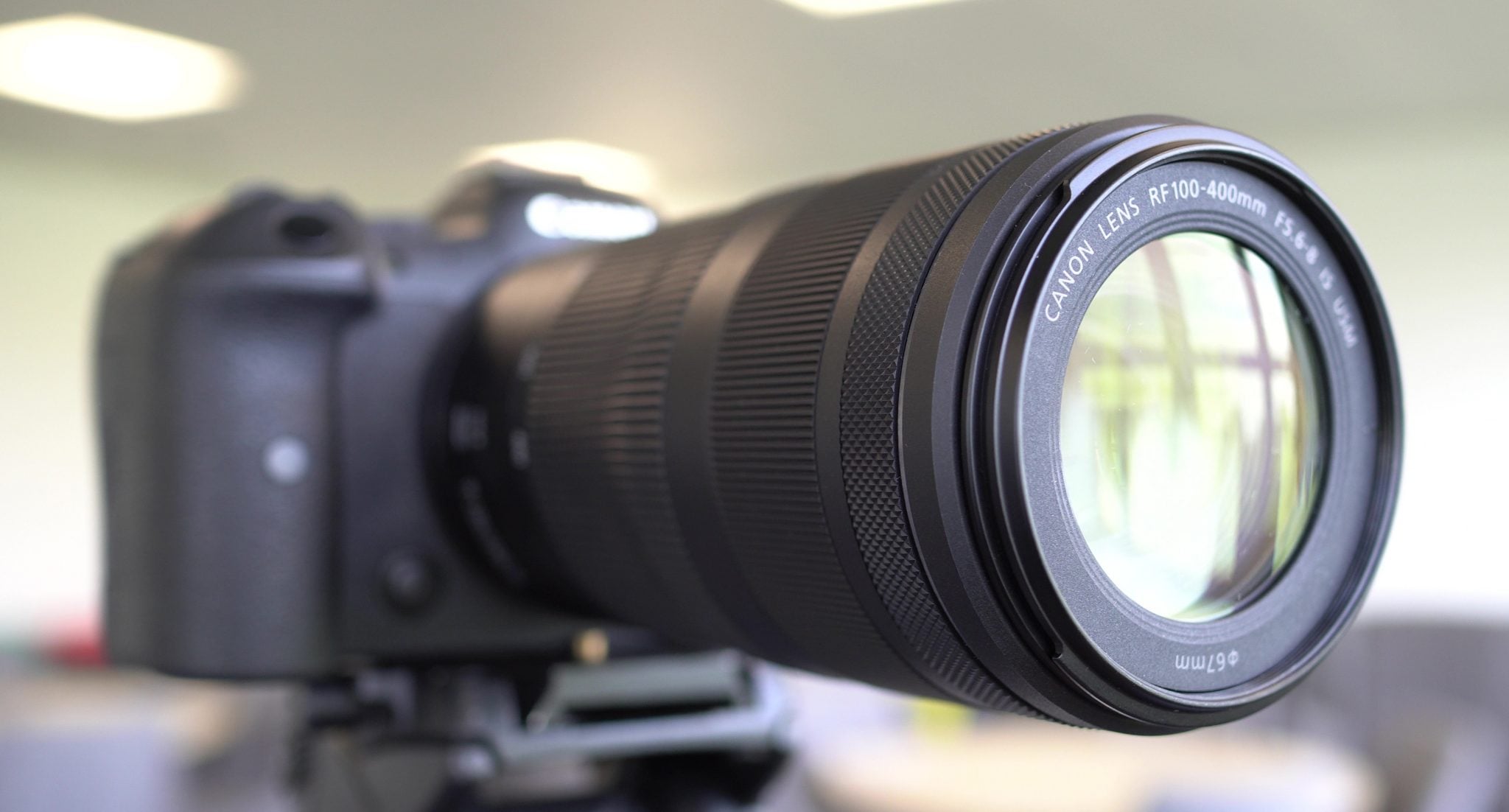 Canon RF 100-400mm f5.6-8 IS USM - Foto Erhardt Canon RF 100-400mm f5.6-8 IS USM - Foto Erhardt