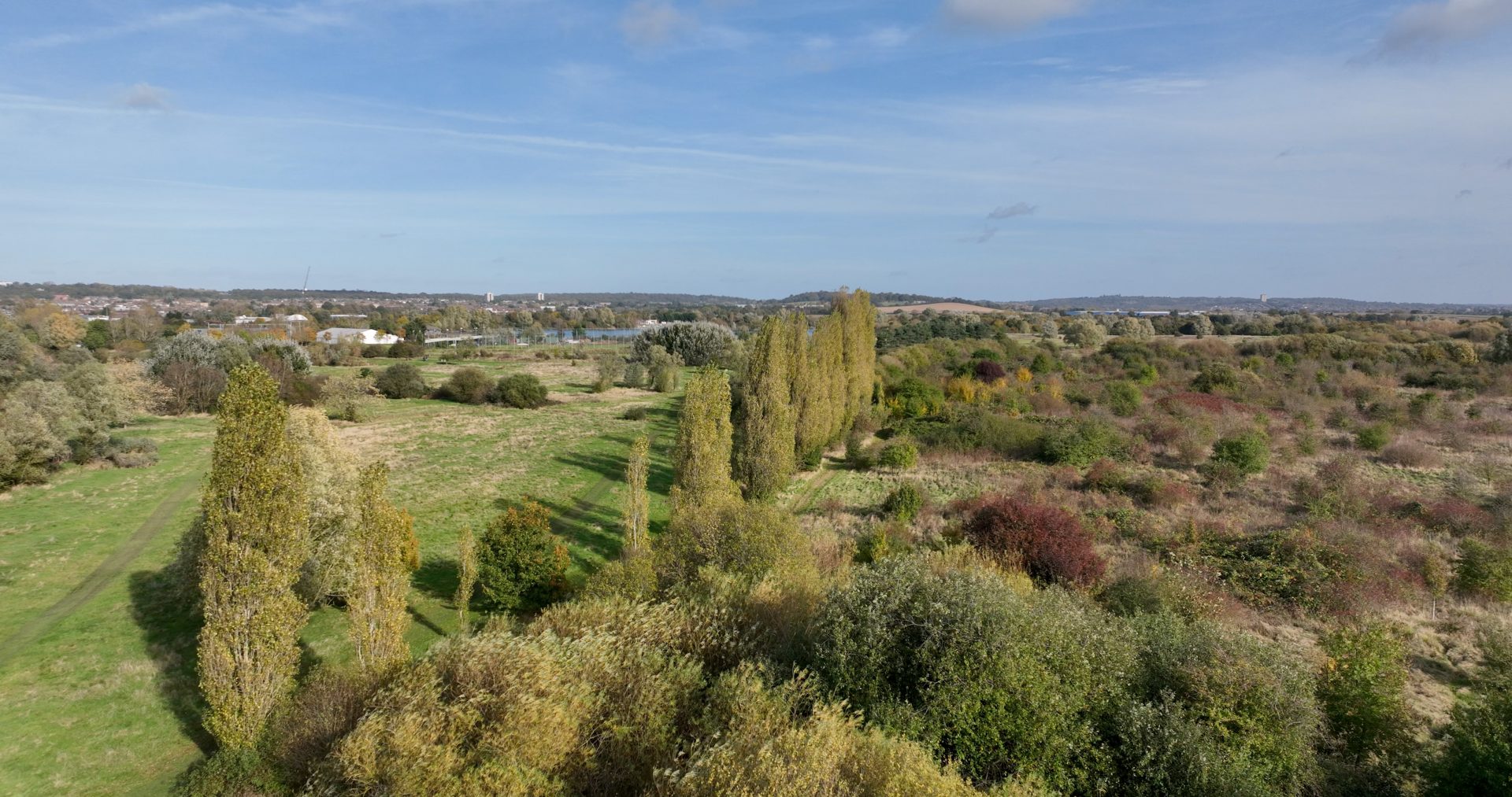 CameraLabs-Mavic3-Trees-5k-50-still