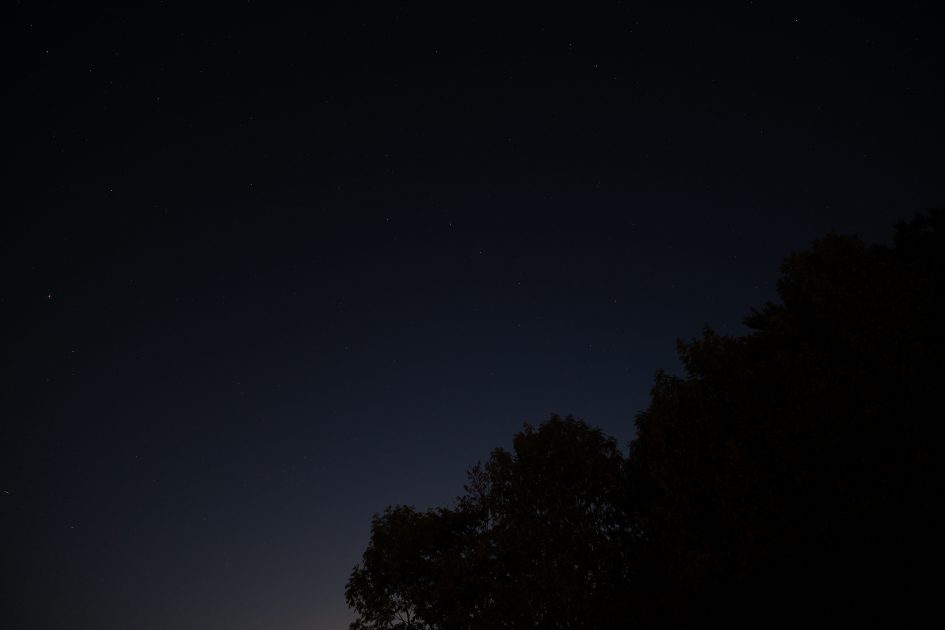 Sigma20f1-4DNArt_f1-4_105030