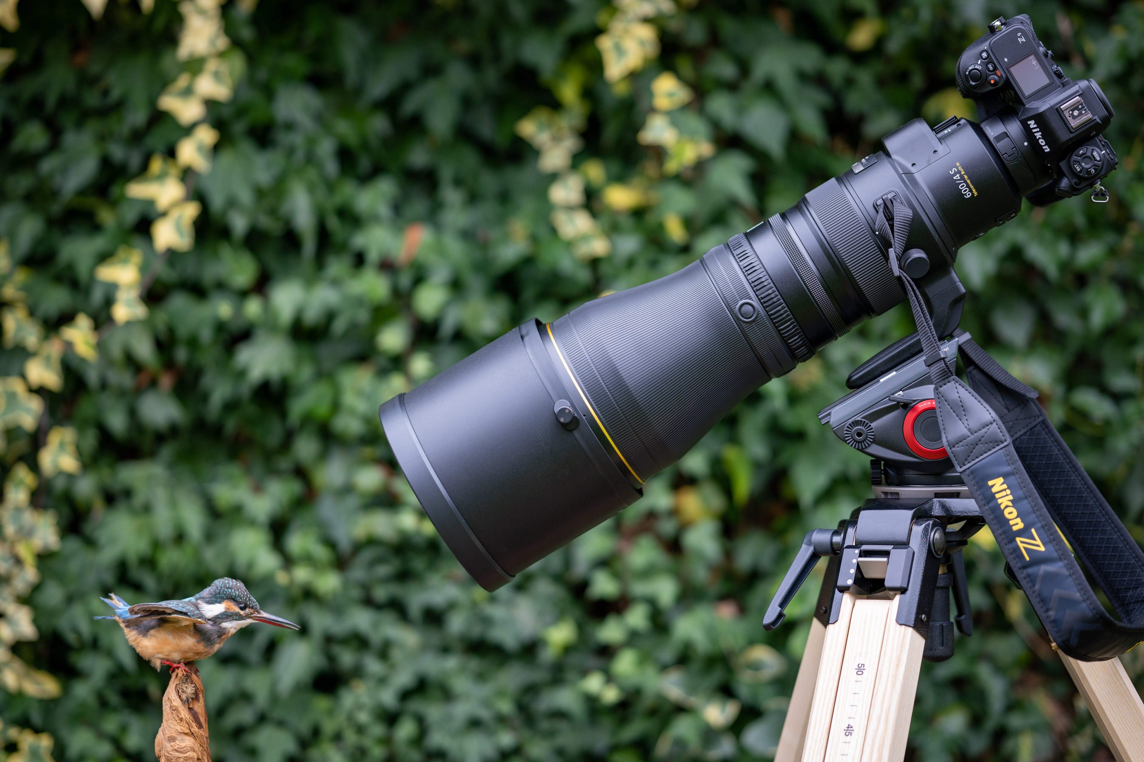 bytte rundt Betjening mulig Betjene Nikon Z 600mm f4 TC VR S review | Cameralabs