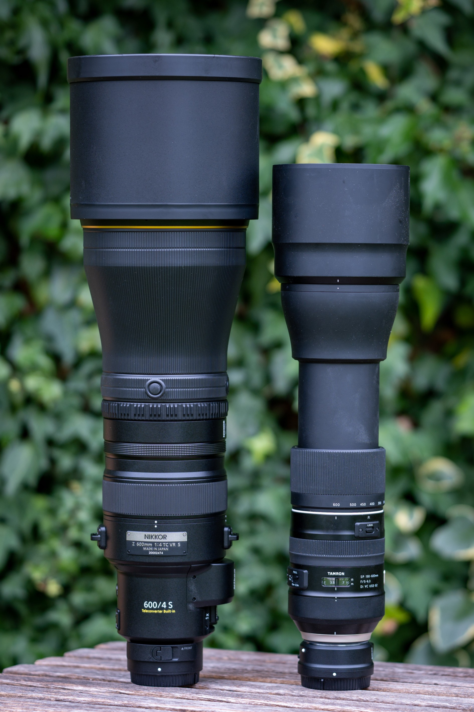 Nikon Z 600mm f4 TC VR S review | Cameralabs