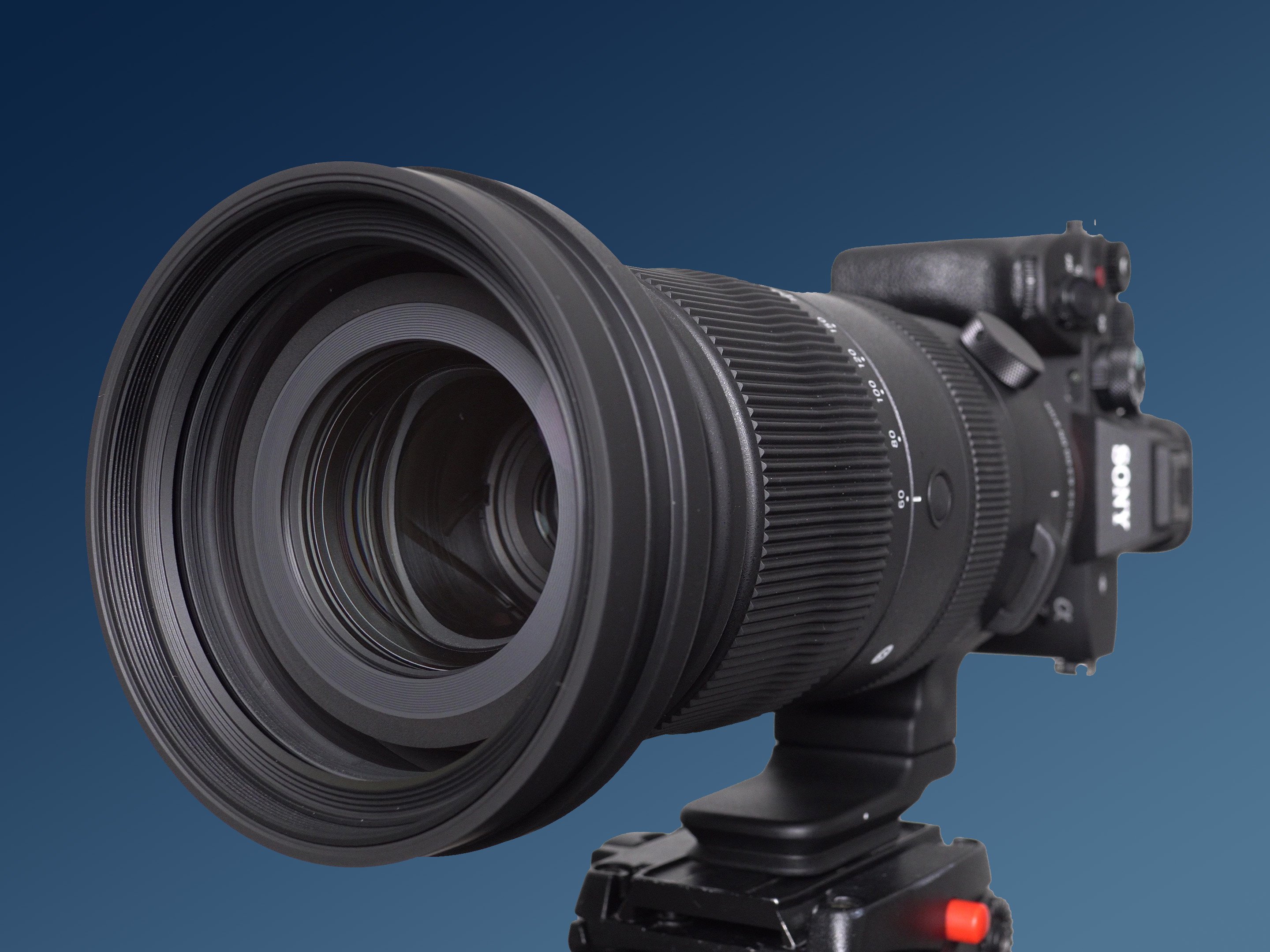 sigma-60-600mm-dg-dn-hero-1